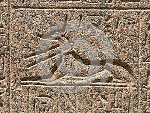 Hieroglyph of the god Anubis