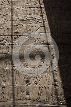 Hieroglyph wall