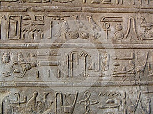 Hieroglyph wall
