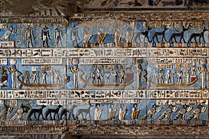 Hieroglyphic carvings in ancient egyptian temple