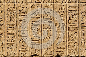 Hieroglyphic carvings in ancient egyptian temple