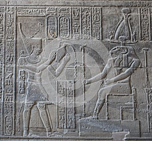 Hieroglyphic carvings on an ancient egyptian temple wall