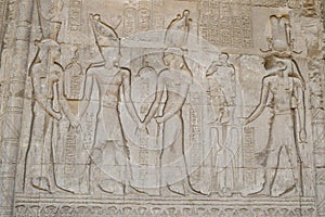 Hieroglyphic carvings on an ancient egyptian temple wall