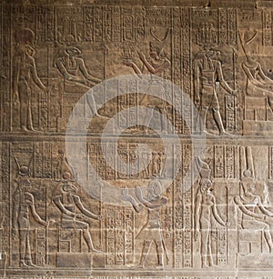 Hieroglyphic carvings on an Egyptian temple wall