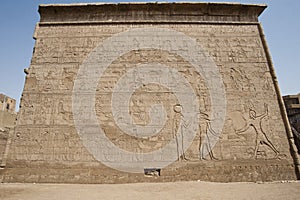 Hieroglyphic carvings on an Egyptian temple wall