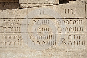Hieroglyphic numerical carvings on an ancient egyptian temple wall