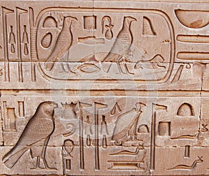 Hieroglyphic Panel