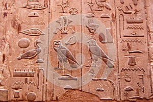 Hieroglyphics photo