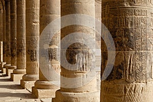 Hieroglyphics carved into pillars in an Egyptian temple