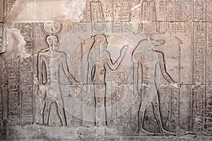 Hieroglyphics inside Philae Temple, Egypt