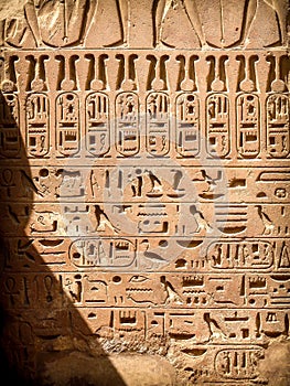 Hieroglyphics at the Karnak temple in Luxor (Egypt)