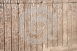 Hieroglyphics from Kom Ombo, Egypt.