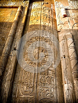 Hieroglyphics in Kom-Ombo mural column (Egypt)