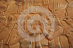 Hieroglyphs in Kom Ombo temple egypt