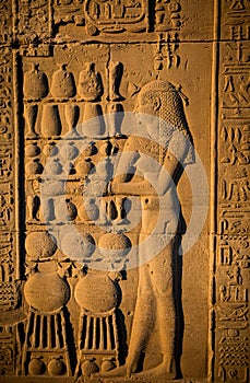 Hieroglyphs in Kom Ombo temple, Egypt