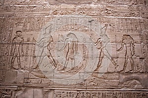 Hieroglyphs of the Temple of Edfu
