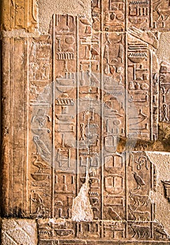 The hieroglyphs at Temple of Hatshepsut, Luxor