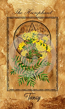 The Hierophant. Major Arcana tarot card with Tansy and magic seal