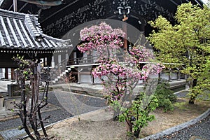 Higashi Honganji, Kyoto