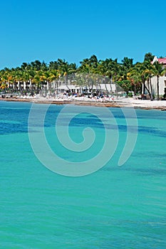 Higgs beach pier, palms, houses, sea, Key West, Keys, Cayo Hueso, Monroe County, island, Florida photo