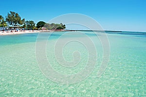 Higgs beach pier, palms, relax, sea, Key West, Keys, Cayo Hueso, Monroe County, island, Florida photo