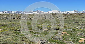 High alpine scenery of the rocky mountains national park, Colorado