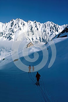 High alpine skiers on the way to the summit in winter Bernese Oberland in Switzerland