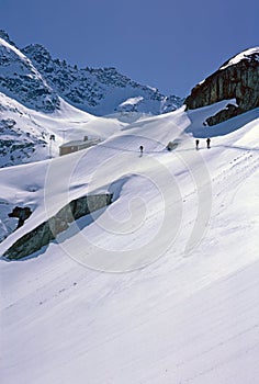 High alpine skiers on the way to the summit in winter Bernese Oberland in Switzerland