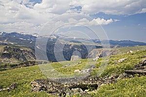 High Alpine Tundra