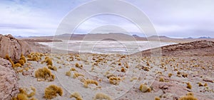 High altitude desert in Bolivia