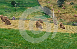 High-altitude fields with typical open air hayfields