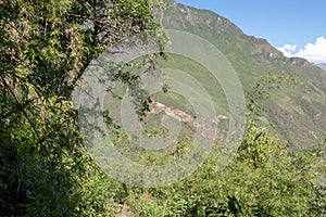 High-altitude jungle lush flora in green Rio Bianco Valley after Choquequirao pass, Andes, Peru photo