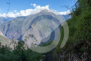 High-altitude jungle lush flora in green Rio Bianco Valley after Choquequirao pass, Andes, Peru photo