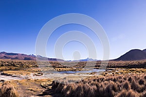 High Andean tundra landscape in the mountains of the Andes.