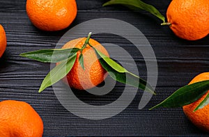 High angel view of fresh citrus fruits tangerines with green leaves on black background.