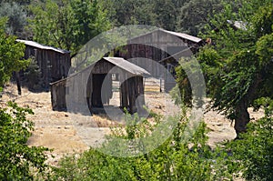 High-angle of abandoned and destroyed wooden houses on the yellowing grass, sunlit trees around