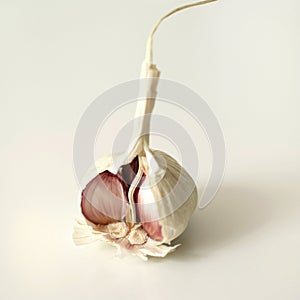 High angle close up of a peeled garlic. Conceptual image