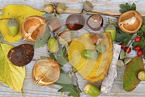 High angle closeup shot of autumn acorns, chest and hazelnuts, and leaves on a wooden background