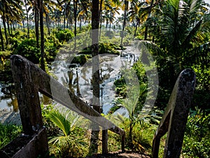 High-angle of coconut plantation canal backwater karela India