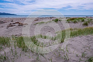 High-angle of Kapiti coast of New Zealand with sand dunes and marran grass, cloudy sky background photo