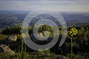 High angle landscape view over the Algarve in Portugal