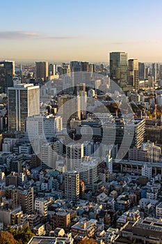 High angle night view of Tokyo, Japan, cityscape at dusk