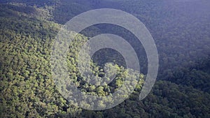 high angle pan of rainforest from echo point in the blue mountains