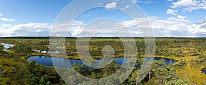 High angle panorama view of lakes and lagoons in a raised bog and marsh landscape