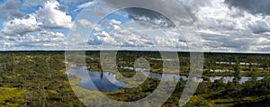 High angle panorama view of lakes and lagoons in a raised bog and marsh landscape