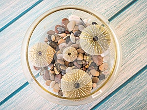 High angle shot of the beautiful seashells and colorful rocks in a bowl on a wooden bench