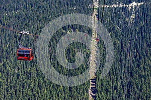 High angle shot of a cable car line riding through the forest on the Peak Cablecar