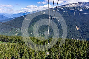 High angle shot of a cable car line riding through the forest on the Peak Cablecar