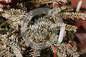 High angle shot of clip-on Christmas tree candle lights