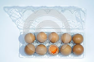 Top view of cracked fresh egg and whole eggs with bright yolk in plastic tray for eggs.